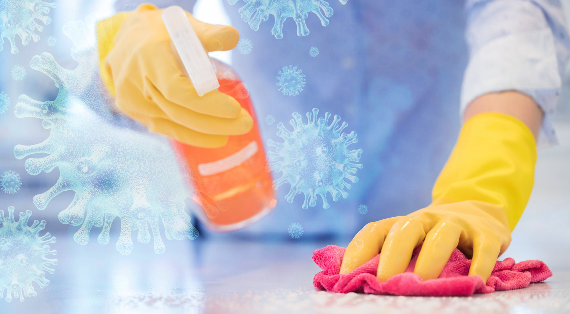 The Difference Between Disinfecting Sanitizing And Cleaning Vacation Property Maids